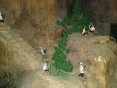 -云南民族大观园