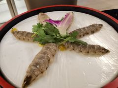 -草鱼先生潮州鱼生·虾生(新厦花园店)