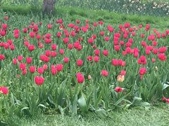 -长春公园(普阳街道)