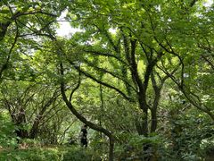 -虞山风景区