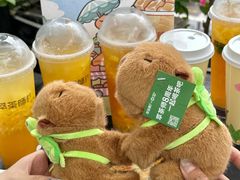 -萃茶师(琅西店)
