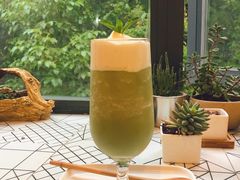 生活总得有点绿-MZ猫咖