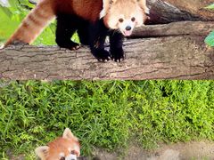 -杭州少年儿童公园