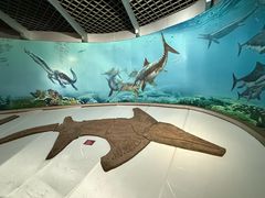 -自贡恐龙博物馆