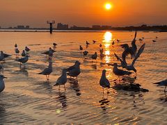 -老虎石海上公园