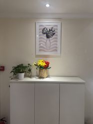 -SILKTONE诗丽堂美容