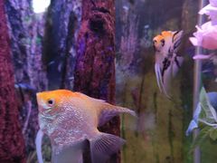 -正佳极地海洋世界