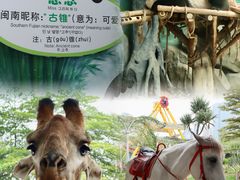 -灵玲国际马戏城