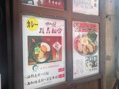 -金龙咖喱