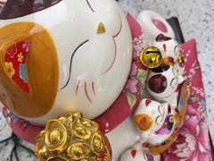 -美可普口腔医院(东街分店)