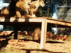 -昆明动物园