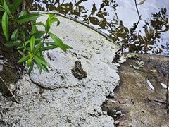 -少华山国家森林公园