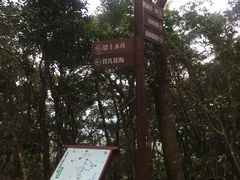 -梧桐山风景名胜区