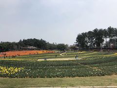 -保利石象湖景区