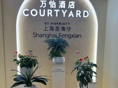 -上海圣淘沙万怡酒店