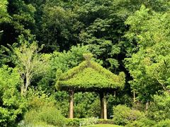 -云溪植物园