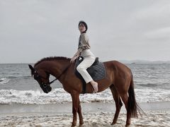 -玫瑰海岸文化旅游度假区