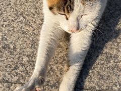 -苏州河梦清园环保主题公园