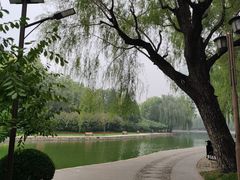 -团结湖公园