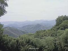 -莫干山风景区