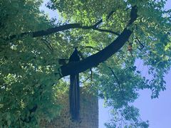 -J Create城市露营咖啡·简餐·宠物(上海动物园店)