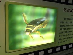 -上海昆虫博物馆