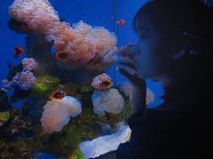 -多彩贵州城极地海洋世界