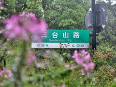 -杭州花家山庄