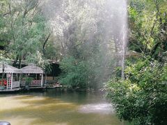 -大鹅岛绿色生态美食园