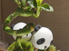 -眉州东坡(东坝店)