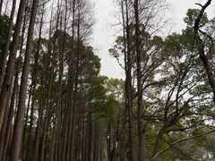 -东湖落雁景区