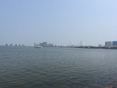 -万绿园