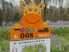 -东平国家森林公园