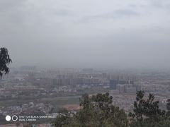 -神光山国家森林公园