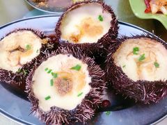 -四川人郑霞海鲜