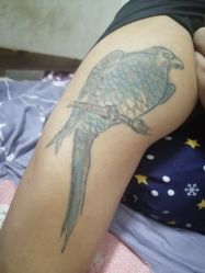-匿名者纹身学院派·刺青