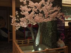 -蓝鲸湾汤泉(包河店)