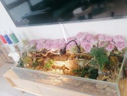 -Lumi露米·美甲美睫品质店