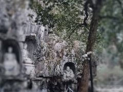 -灵隐飞来峰景区