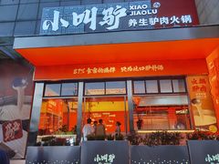 -小叫驴养生驴肉火锅(龙游店)