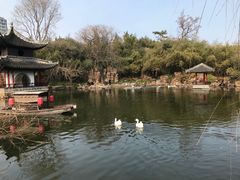-水绘园