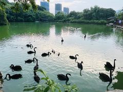 -杭州野生动物世界