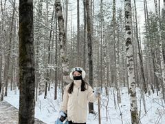 -峡谷浮石林景区