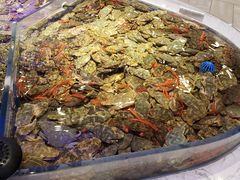 -澜悦港海鲜体验主题餐厅