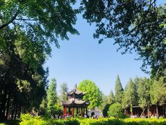 -洛阳白马寺