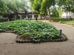 -绍兴鲁迅故里·沈园景区