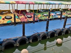 -飞来湖湿地公园