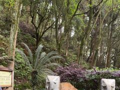 -明月山天沐温泉度假村