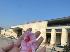-婺源站