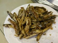 -姥家大锅台水库渔家